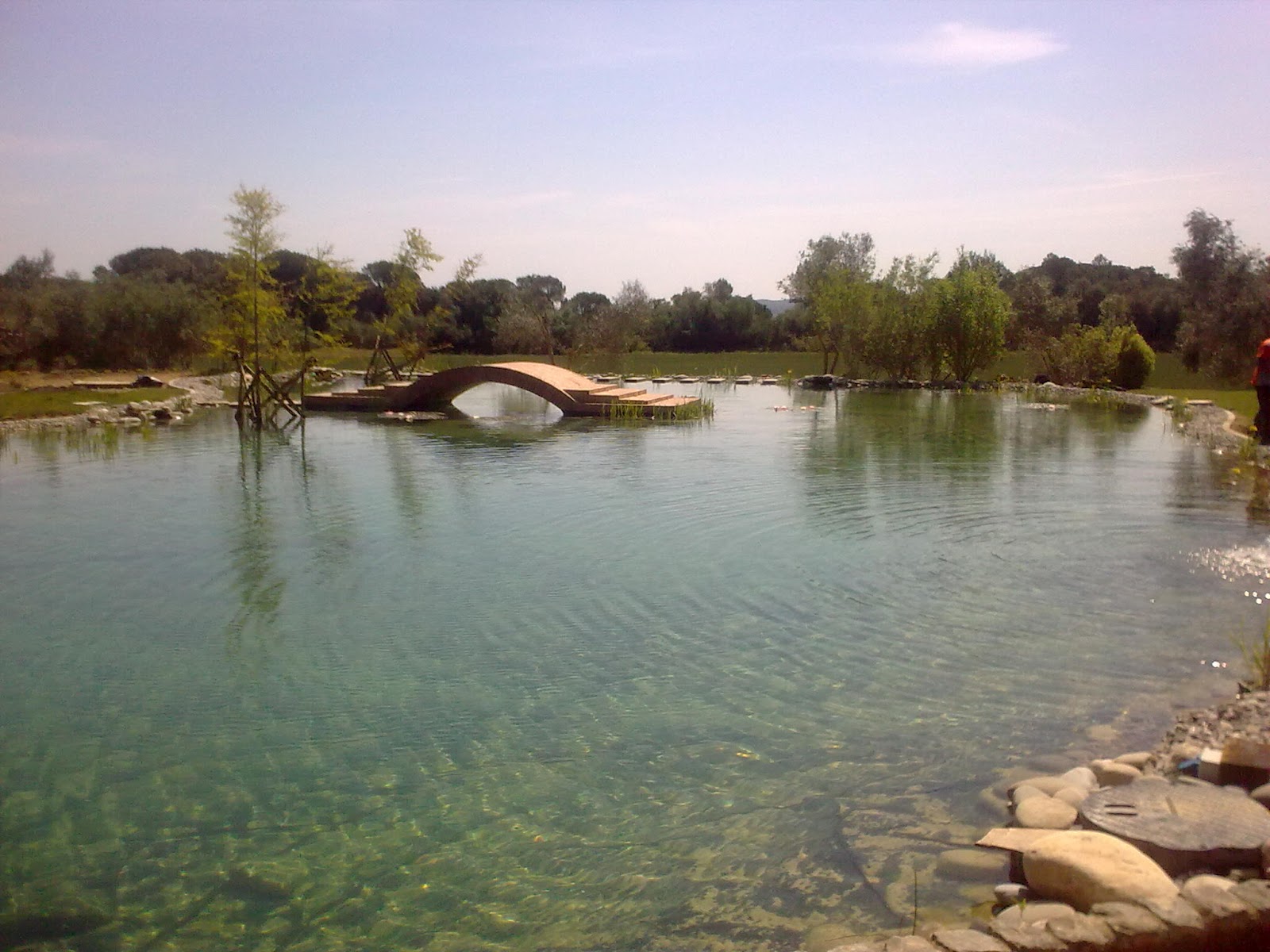 Crea tu Jardín Piscinas naturales o lagos artificiales. Cómo bañarse