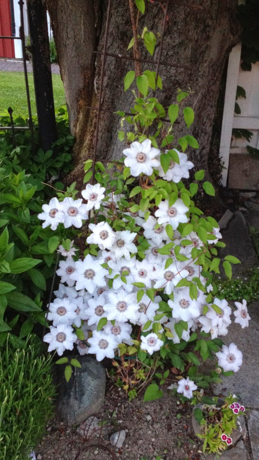 Renoveringsblogg: juni 2014