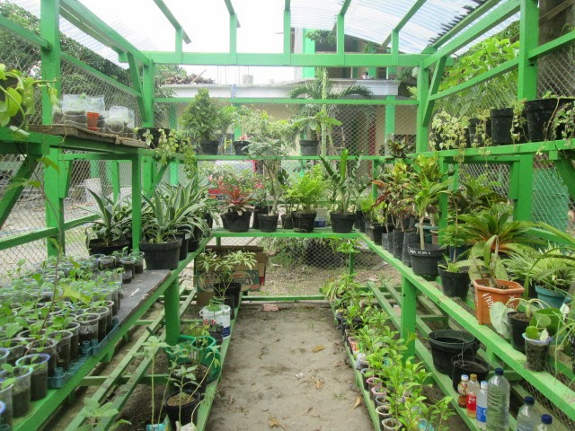 lingkungan sehat dan alami Dasyatnya manfaat pembibitan