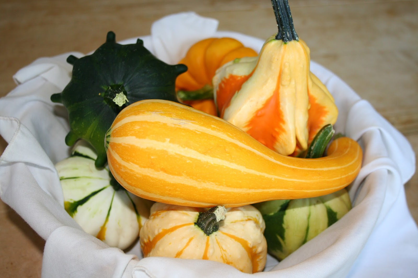 Tammy's Craft Emporium Ornamental Gourds So colourful.