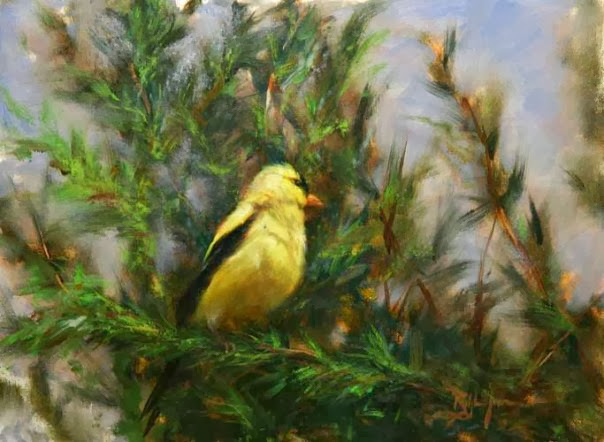 Ralph+Grady+James+~+Tutt%27Art@+(2)