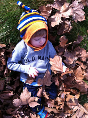 Jojo in leaves