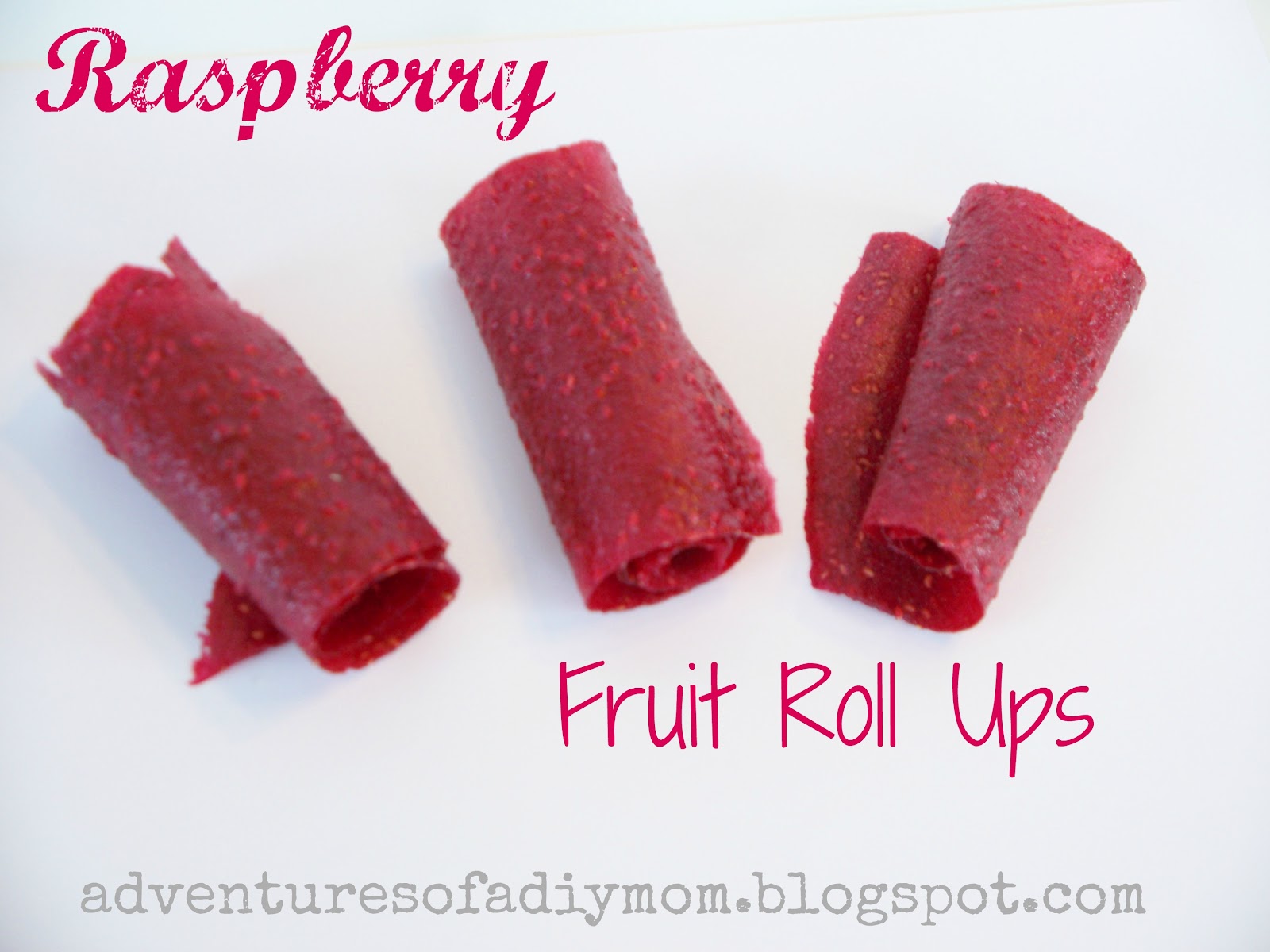 How to Make Fruit Roll Ups Adventures of a DIY Mom
