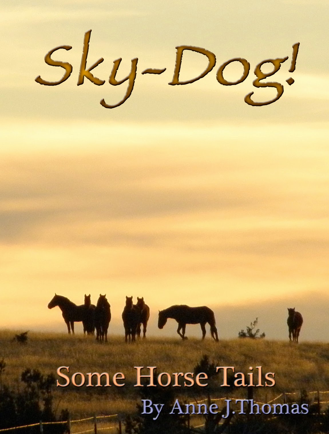 Sky-Dog! ~ Some Horse Tails