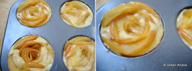 apple financier