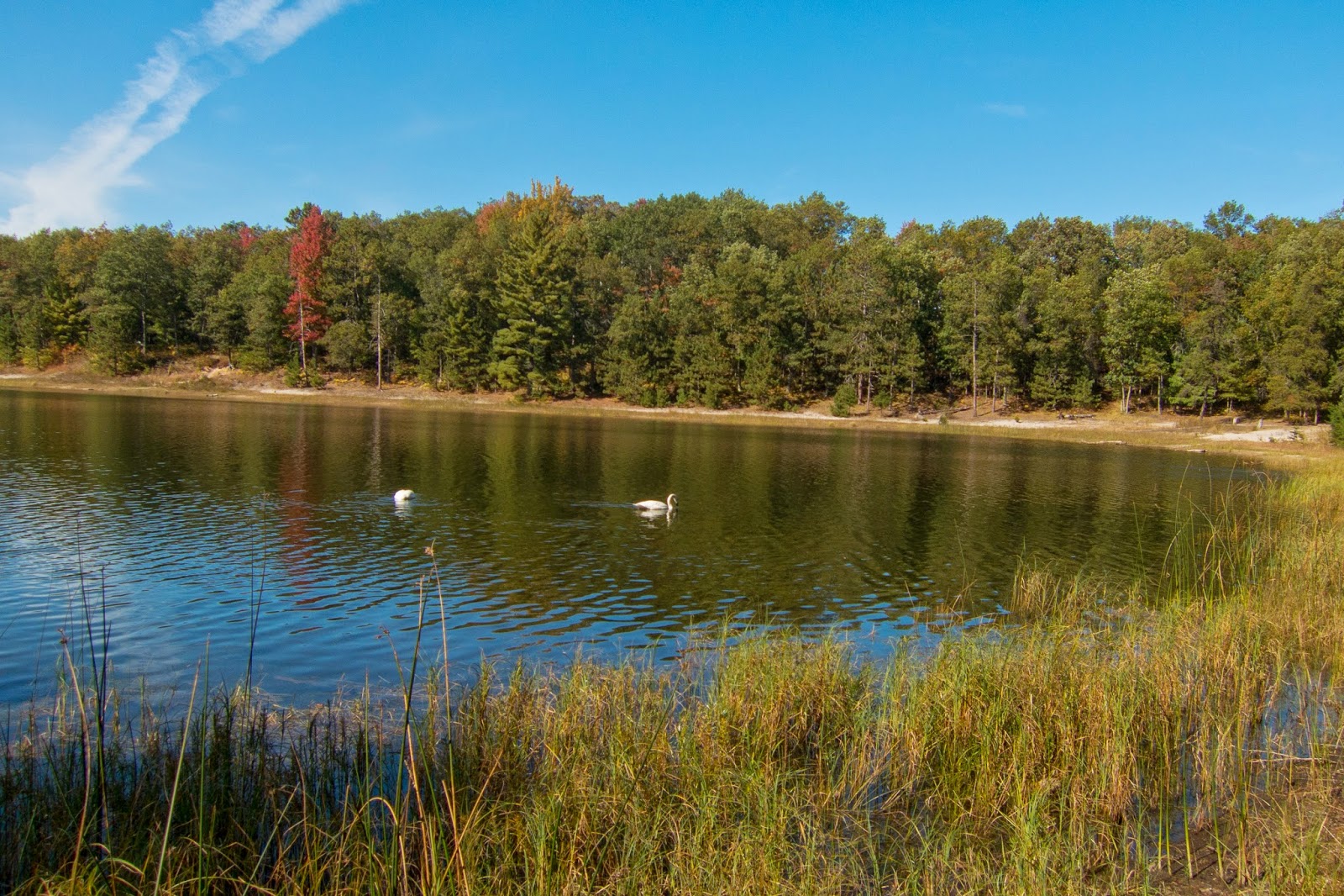 Eric's Hikes Hoist Lakes/Negwegon State Park