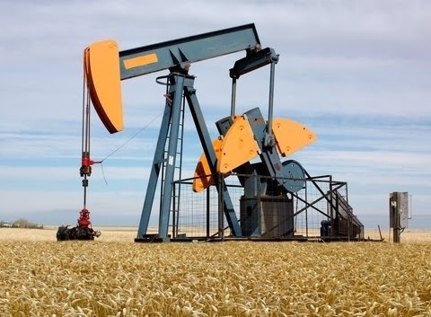 The Oil Price Shock | Sri Lanka Guardian