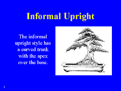 Informal Upright