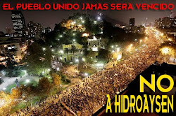 En Chile, la democracia huele a lacrimógena (PROTESTA CONTRA HIDROAYSEN)