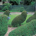 Topiary