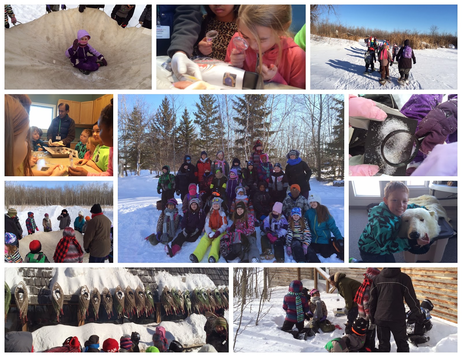 Room 4's Learning Lounge Arctic Adventure at Fort Whyte Alive!