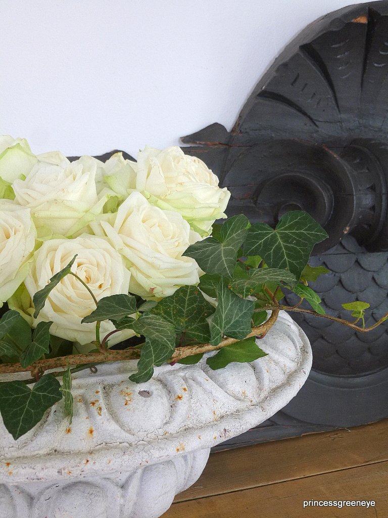 princessgreeneye: Rosenträume............