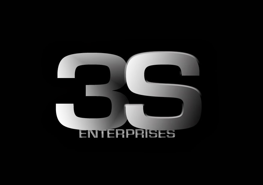 3S Enterprises, Inc.