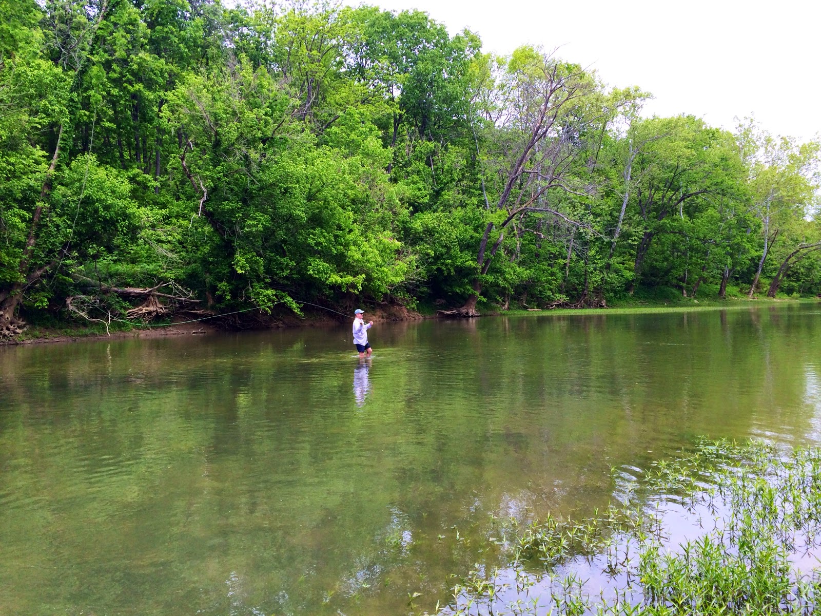 South Fork of the Licking River Delamere & Hopkins