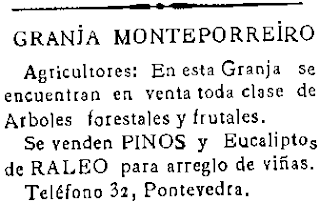 eucaliptos - Más eucaliptos,  más   coníferas. Consecuencias de la sed de beneficio$ en la húmeda Galicia. El sector forestal. 1928_Anuncio+arboles+Monteporreiro