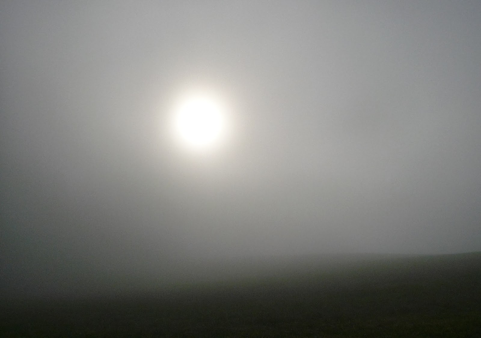 Gisi S Blog Von Tag Zu Tag Latest Snapshot Chan 21582525