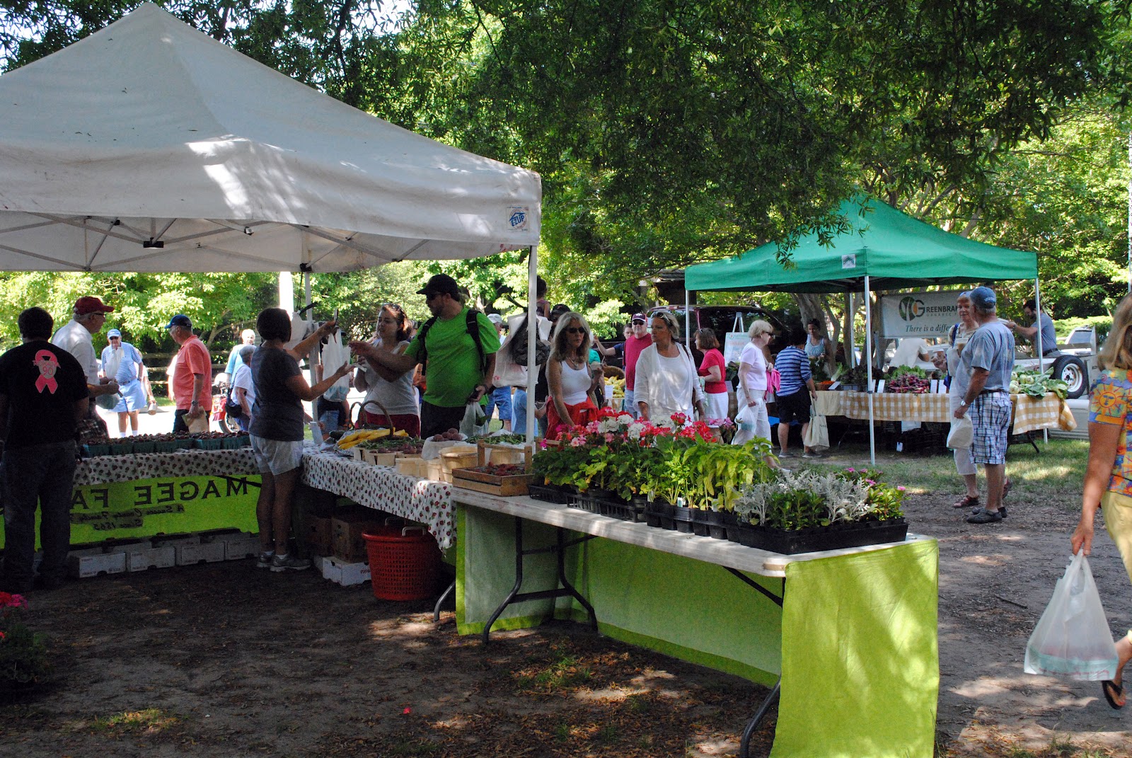 Lewes Farmers' Market
