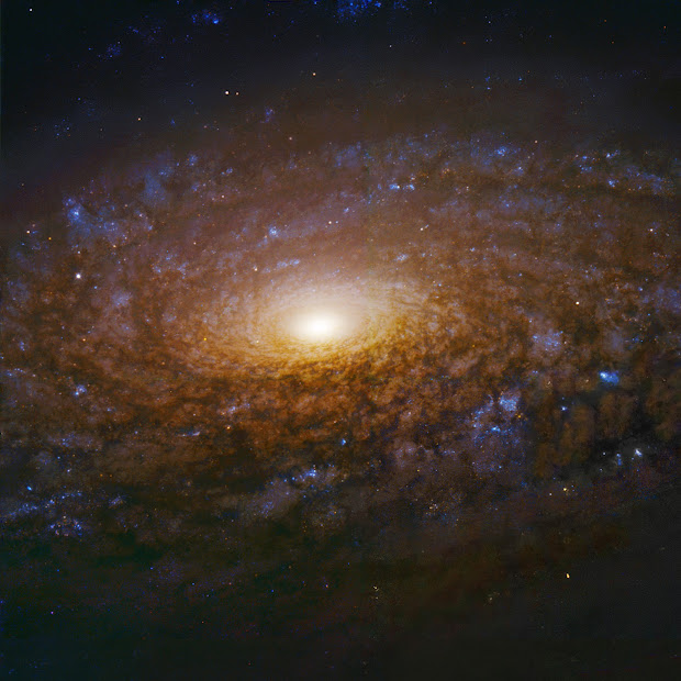 Gorgeous Spiral Galaxy NGC 3521 brilliantly imaged by Hubble