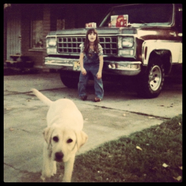 Pb Banana Pup Cakes Recipe The Sweetest Thing