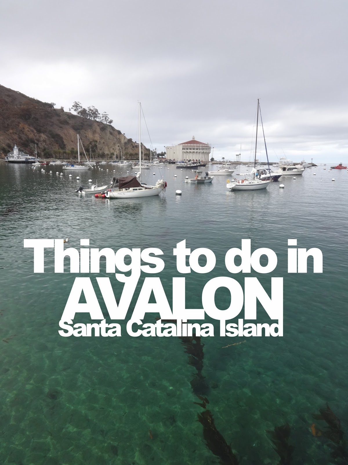 in between days 2 days in avalon on santa catalina island catalina island family package for flyer tickets