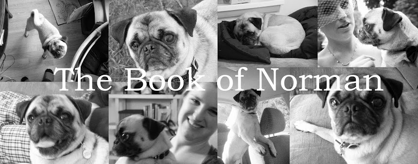 The Book of Norman