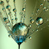 Awesome Photography By Sharon Johnstone