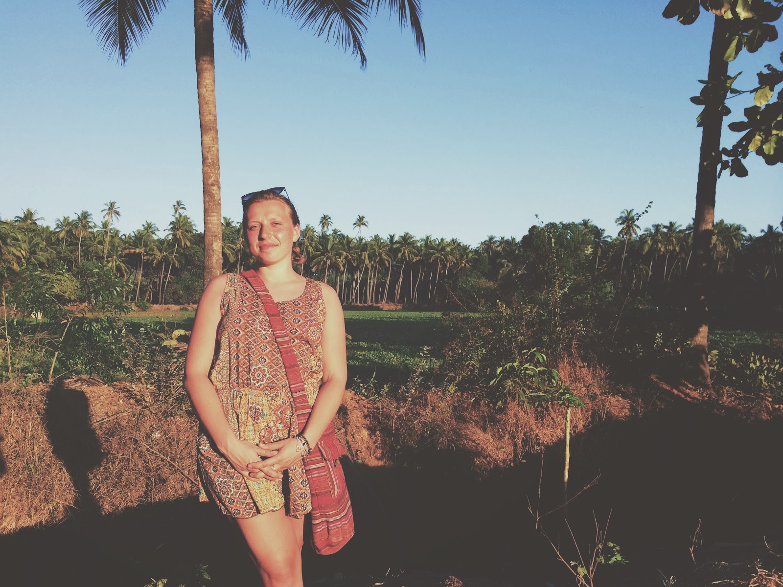 пальмовый лес путешествие в Индия, самостоятельно в Индию, Гоа, пляжи Гоа, пляж Анжуна