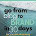 Go From Blog to Brand in 30 Days - Free Kindle Non-Fiction