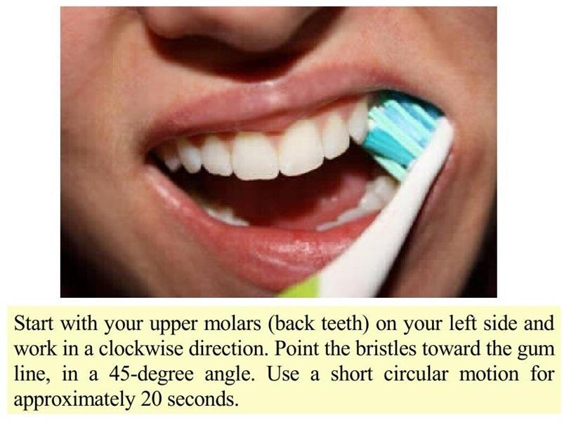 Health Tips How to Clean your Teeth BONGO CORNER