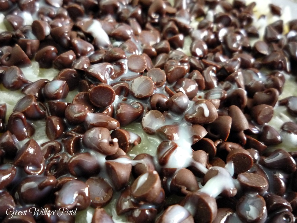 Green Willow Pond Gluten Free Mound Bars