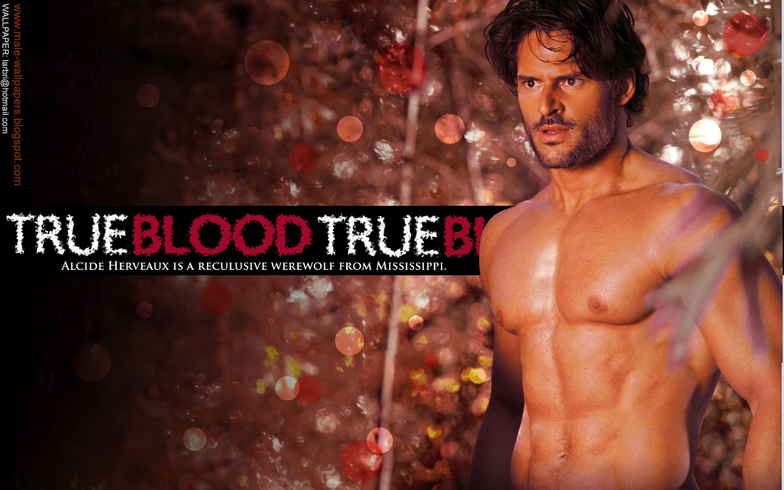 http://1.bp.blogspot.com/-W7h83ZQbFtI/UBPNMUoaQ1I/AAAAAAAAFiE/DhZHxSWsOII/s1600/malewallpapersblog-trueblood-werewolf.jpg