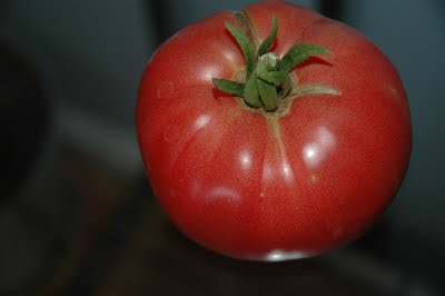 Backyard Farming Sideways Glance One Way To Plant Tomatoes