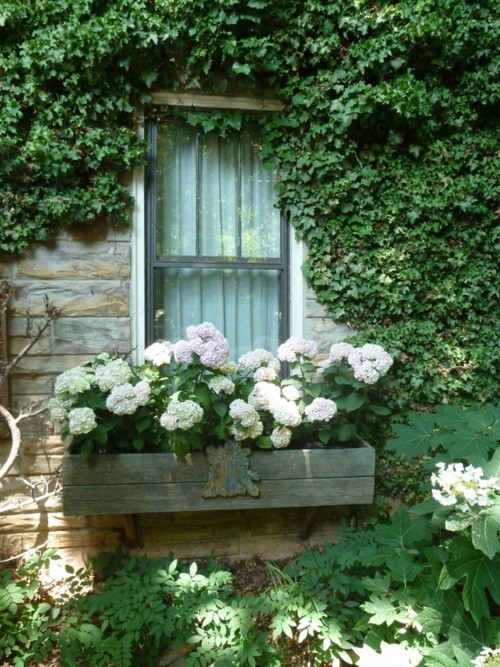 Cottage Flavor Window Boxes Abloom