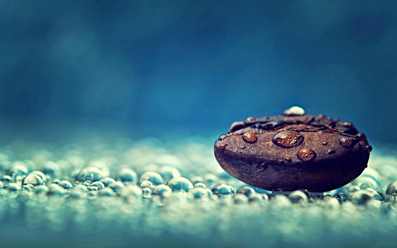 wallpaper hd wallpaper hd