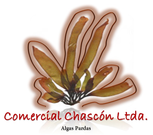 Comercial Chascon Ltda - Alga lessonia