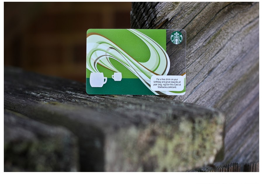 Charlottesville Virginia + San Diego California Wedding Photographer Meredith Sledge