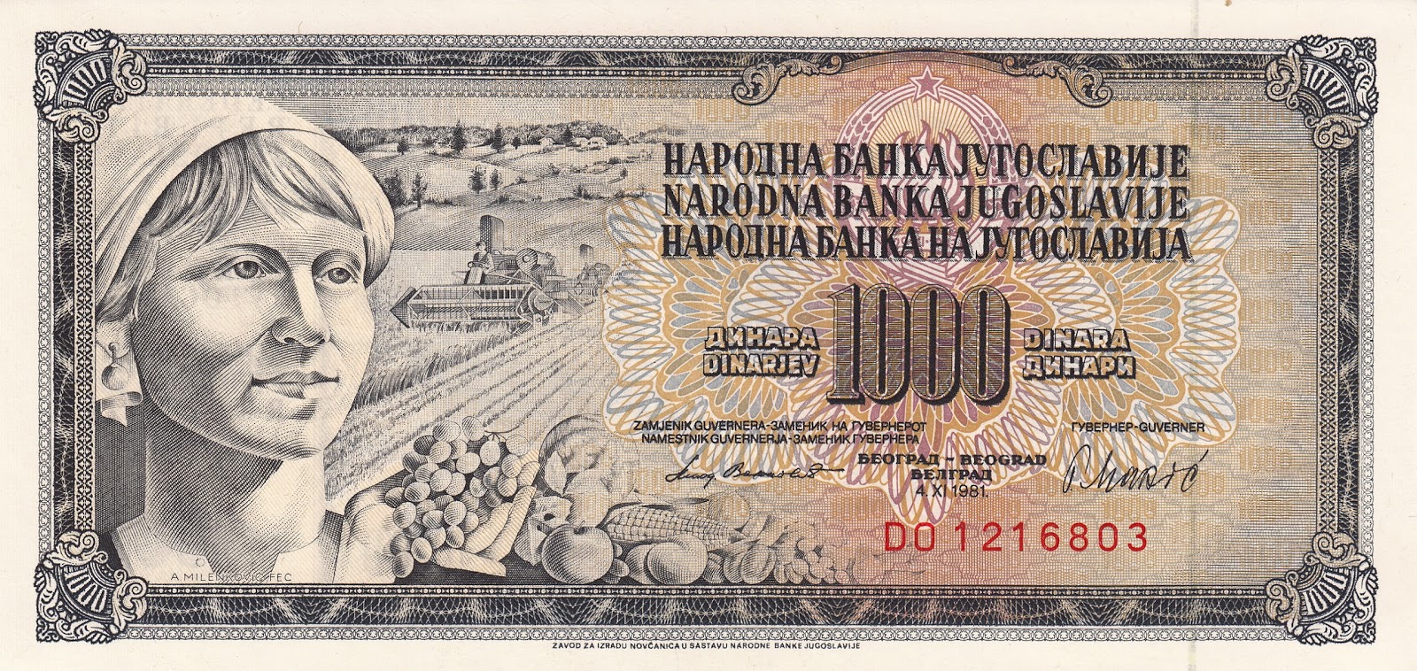 Bin Yugoslav Dinarı (1981) philynota