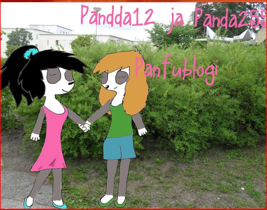 Panda255 ja Pandda12 Panfu-blogi