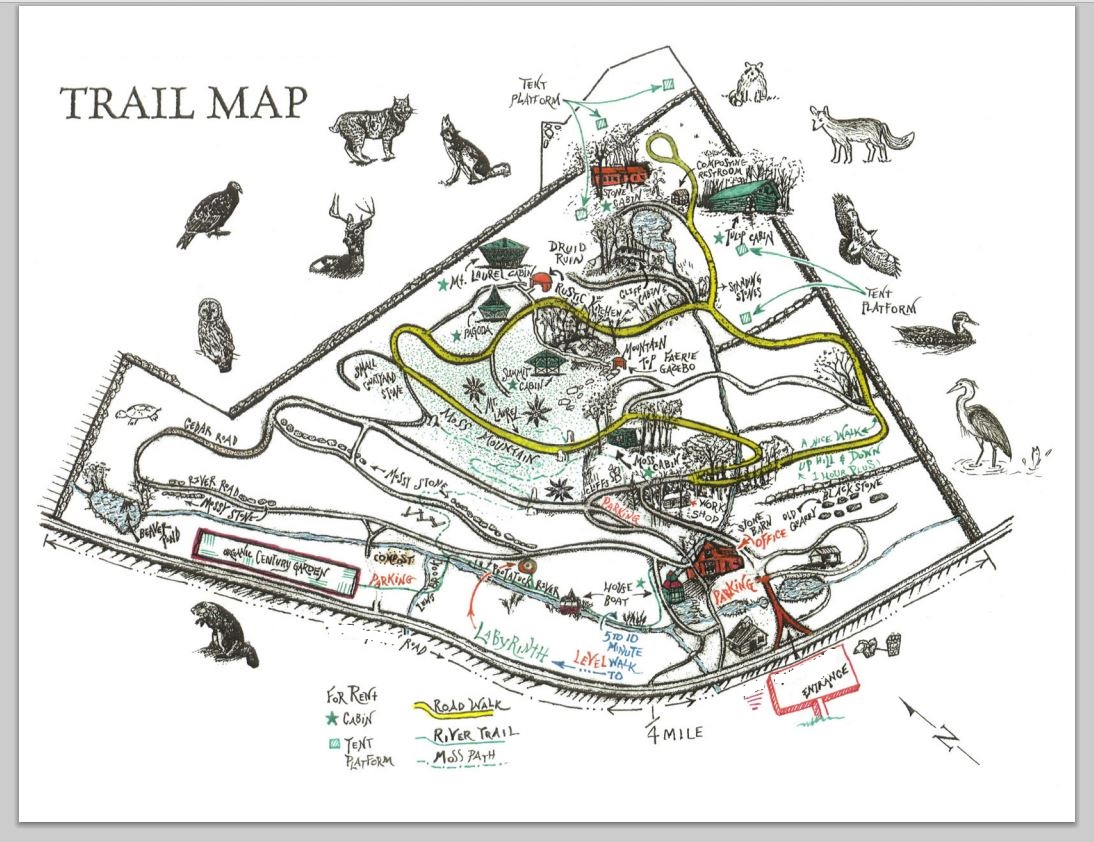 Waking Up on Turtle Island Ruins and Ruined