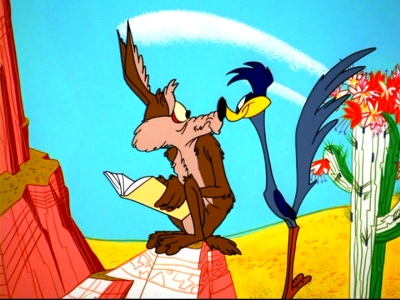 coyote-vs-roadrunner.jpg