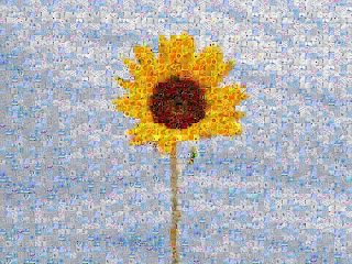 Mozaiq-crear-imagen-mosaico-foto