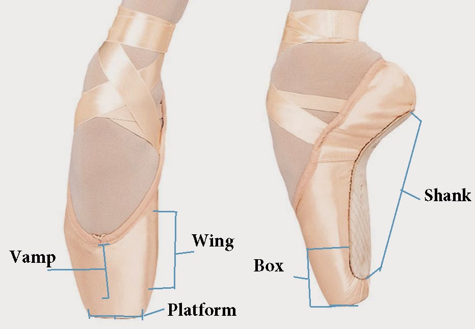 best pointe shoes for wide feet