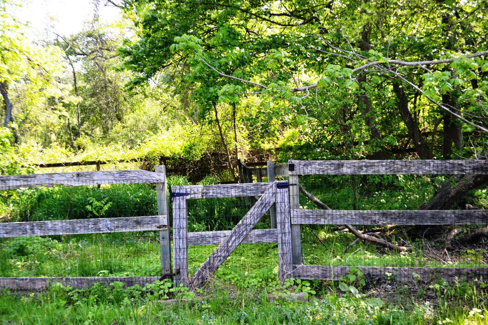 It's All About Purple Good Fences Edition 10