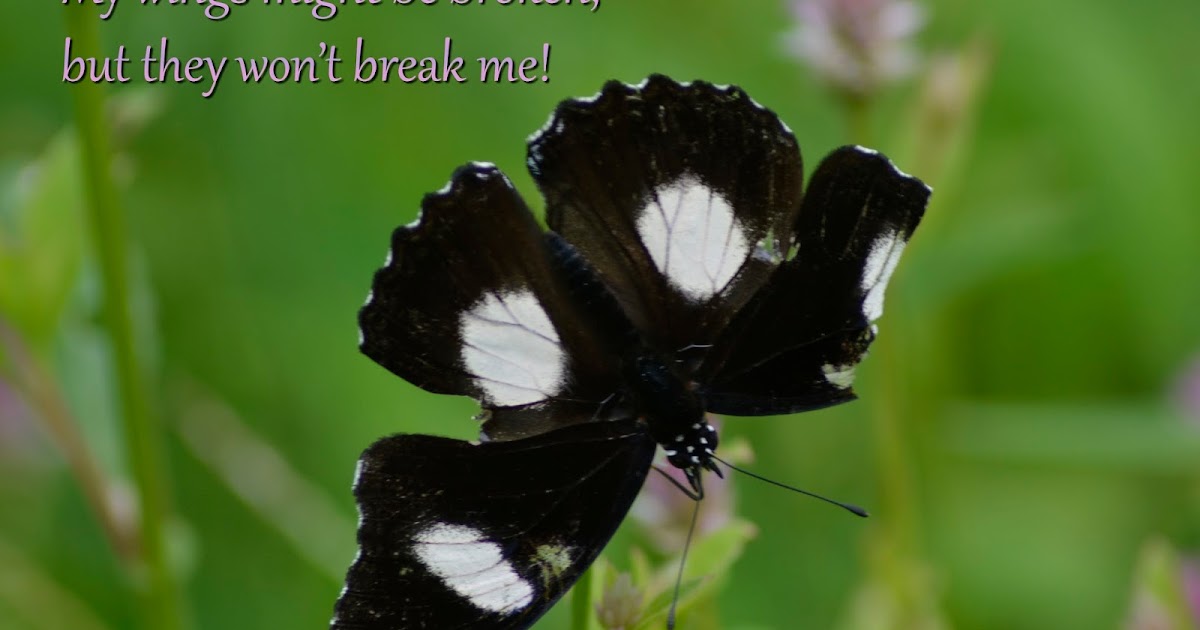 Broken But Determined