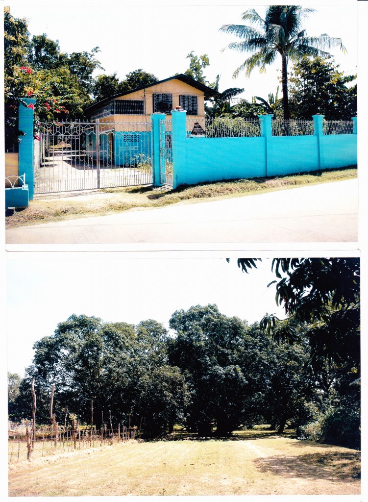 Everything About Real Estate Philippines Malasiqui, Pangasinan