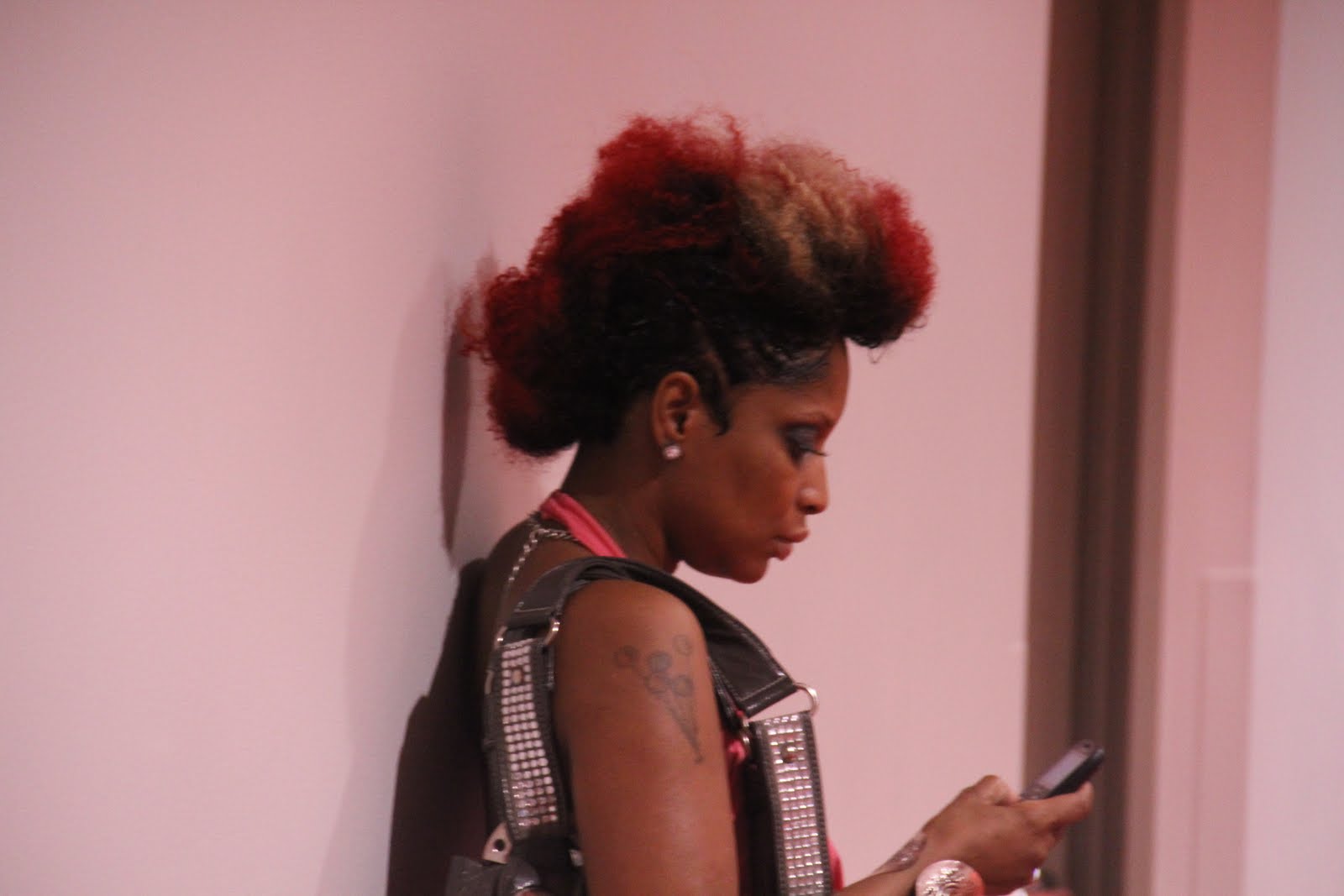 Anotherallergymom Bronner Brothers Hair Show Natural