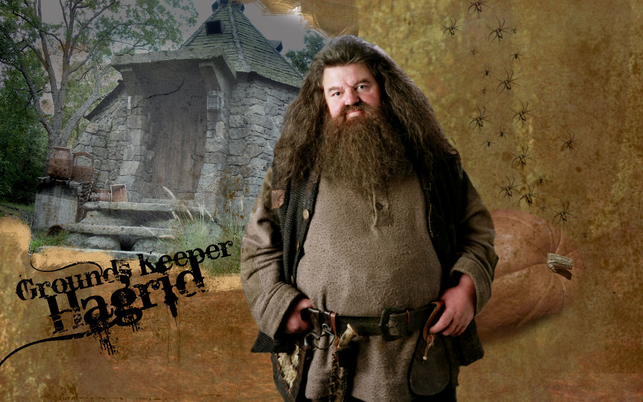 De nuevo el nuevo topic de las polleces encontradas por ahí - Página 6 Yes,+this+is+Hagrid