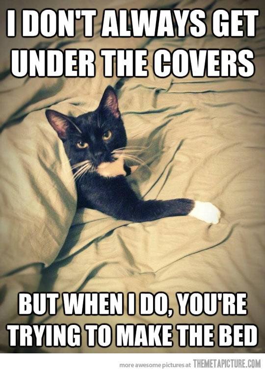 To Make You Laugh I Don't Always Get Under The Covers