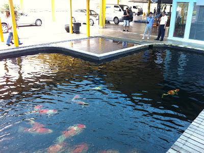 high efficiency koi pond pumps laguna max flo