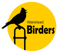 Wanstead Birders